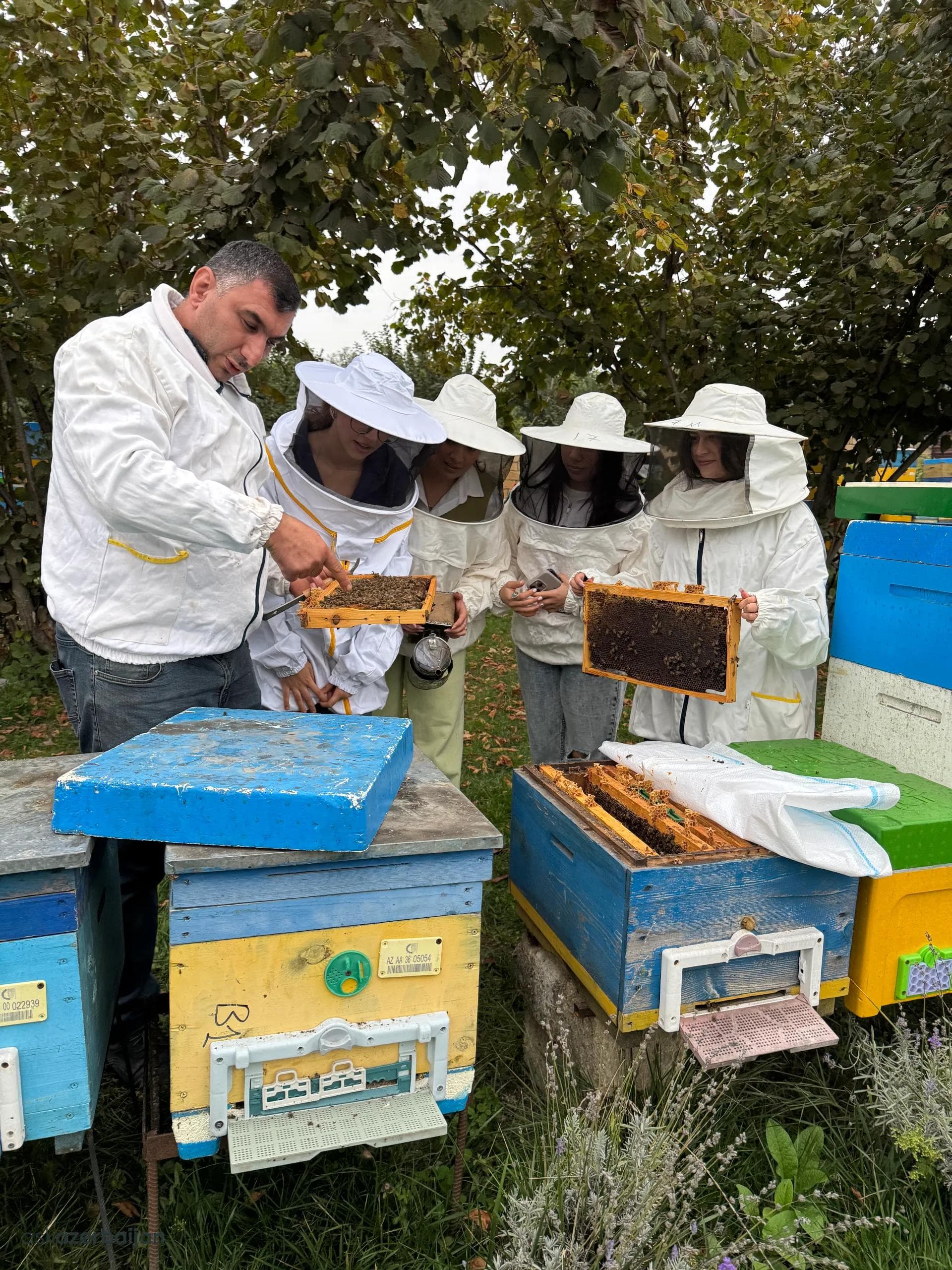 Azerbaijan: Honey Beekeeping