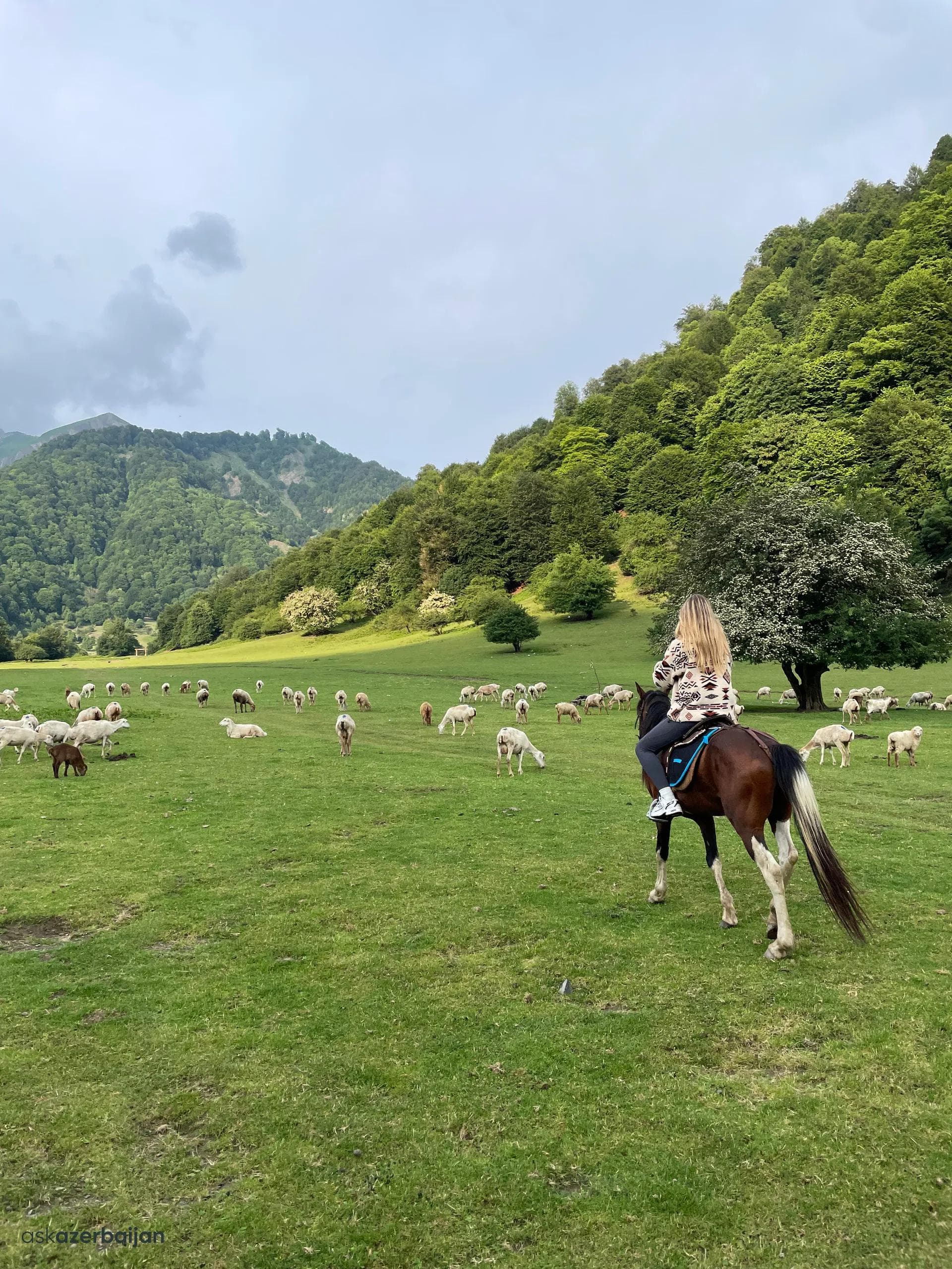 2-Day Gabala Village & Horseback Experience
